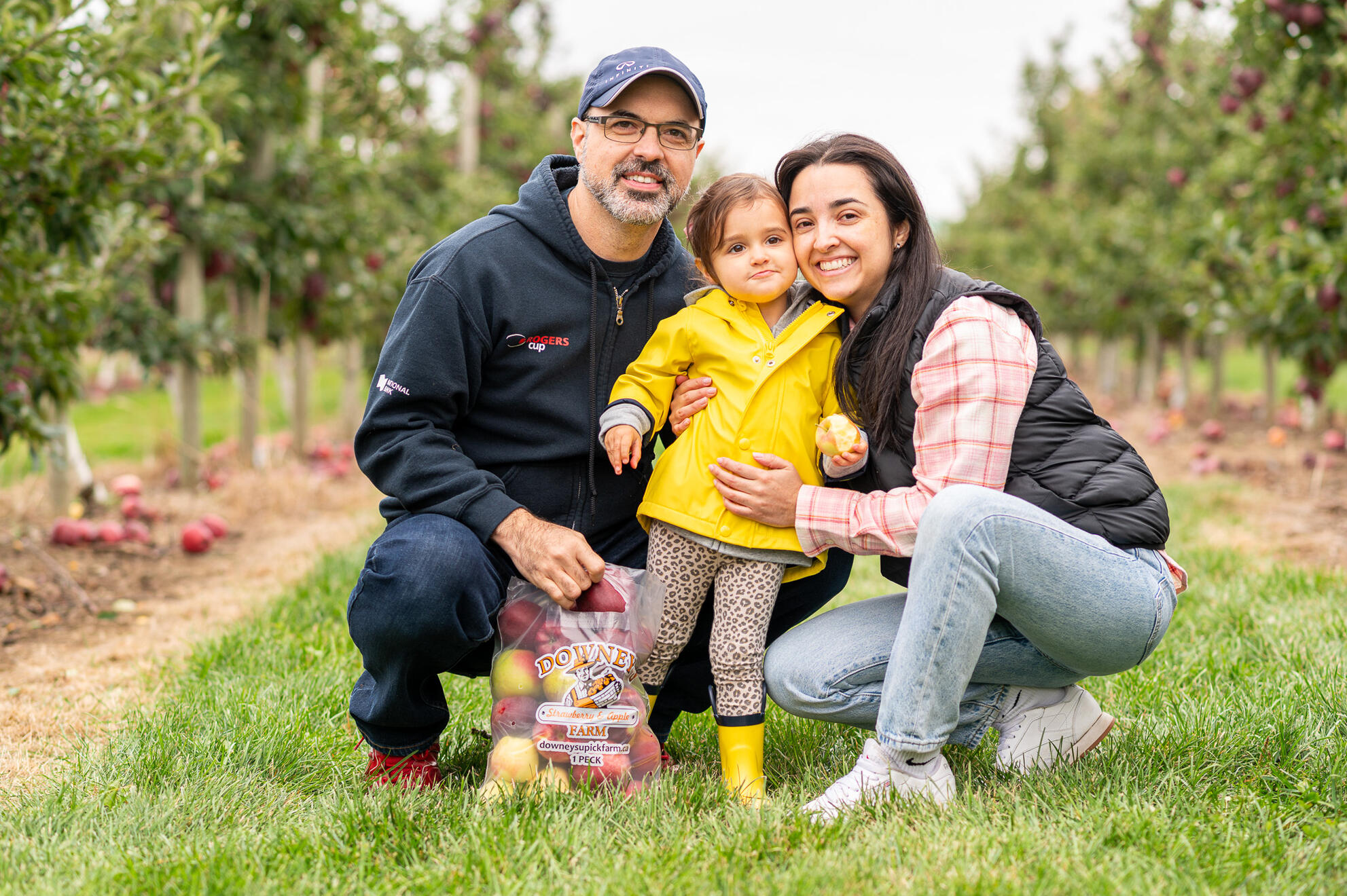 Young German Shepherd standing on grass and looking alert at the camera.