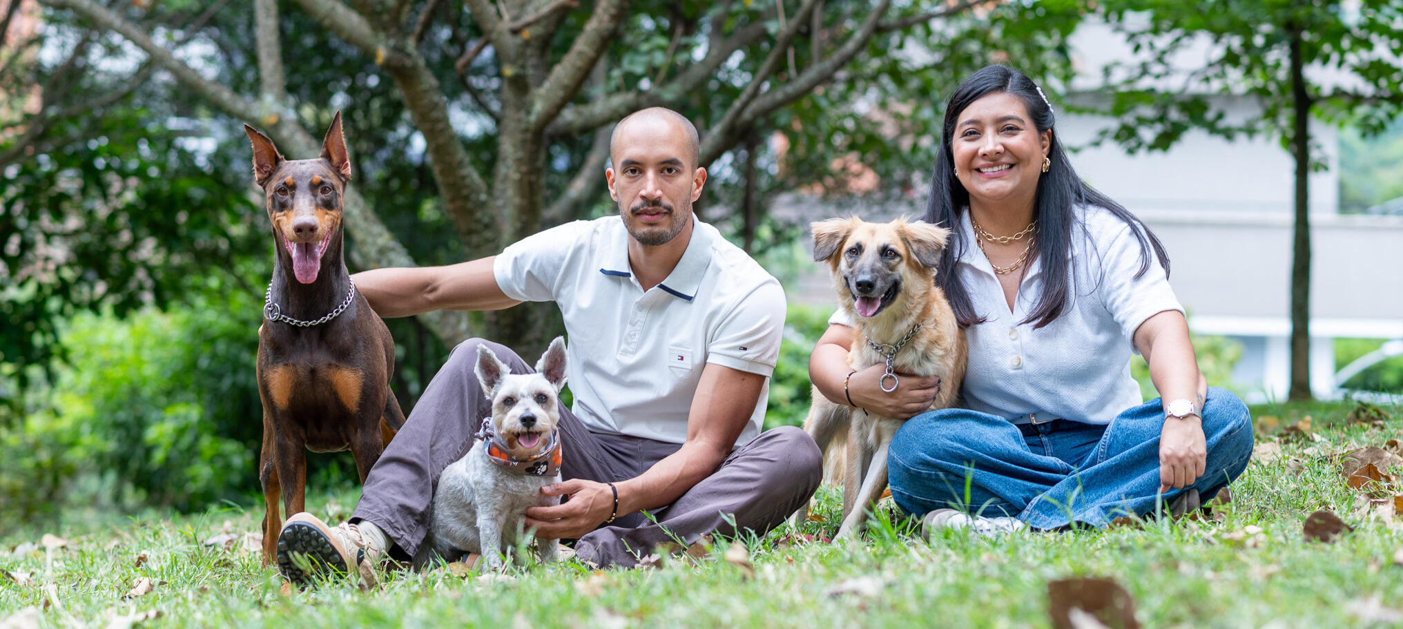Family & Pet Photography in Mississauga Family sitting on grass with their dogs during an outdoor photoshoot in Mississauga — natural family and pet photography.